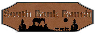 South Bank Ranch
